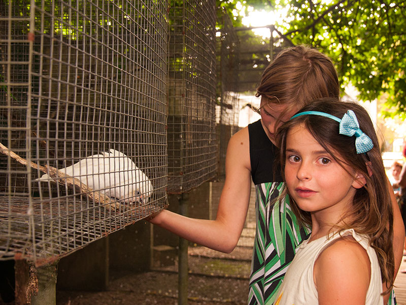Two girls at Mill Creek saying hello to a Parrot